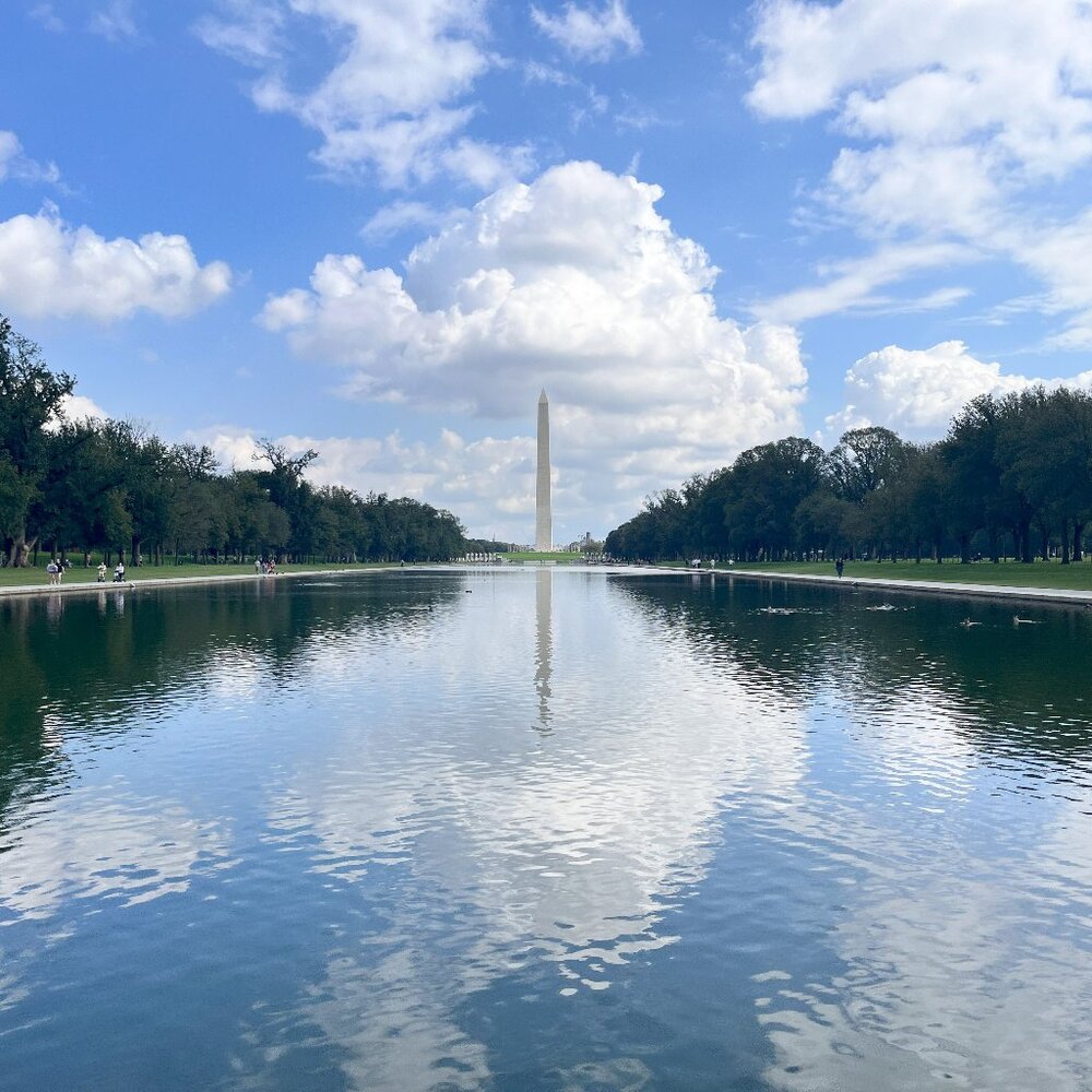 Meet your Posher, Nyra